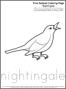 Free Coloring Page: Nightingale 