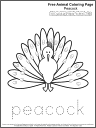 Free Coloring Page: Peacock 