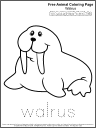 Free Coloring Page: Walrus 