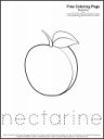 Free Coloring Page: Nectarine
